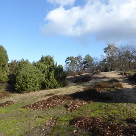 Knus Huisje In Het Bos - Cosy In The Woods Overloon