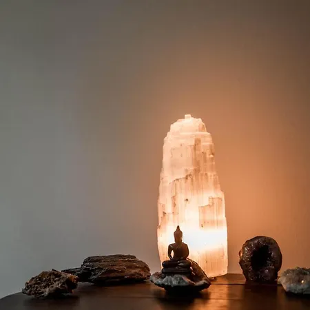 Vakantiehuis Knus Huisje In Het Bos - Cosy In The Woods *