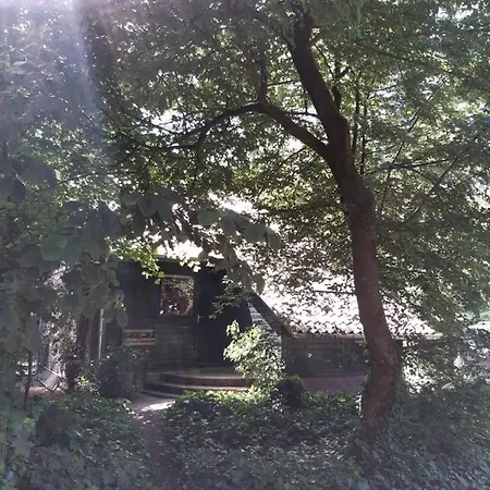 Knus Huisje In Het Bos - Cosy In The Woods Vakantiehuis *