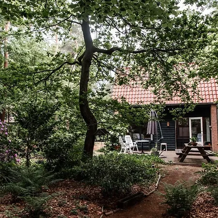 Knus Huisje In Het Bos - Cosy In The Woods Vakantiehuis