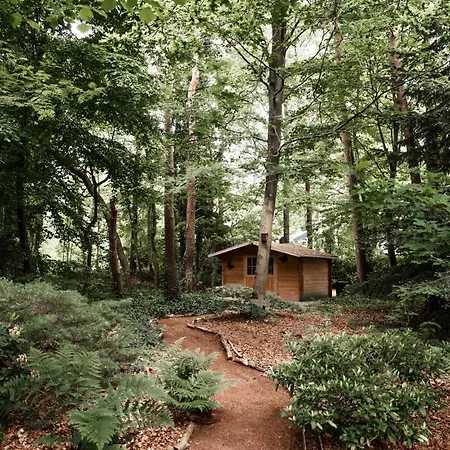 Knus Huisje In Het Bos - Cosy In The Woods Vakantiehuis *